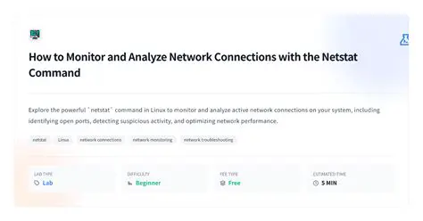 Analyze network connections