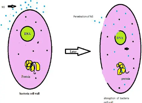 Attachment and Penetration
