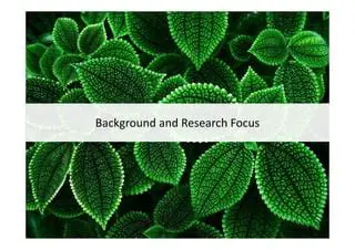 Background and Research Focus