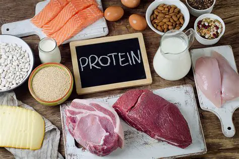 Bahan Makanan yang Kaya Protein untuk Persiapan SBMPTN