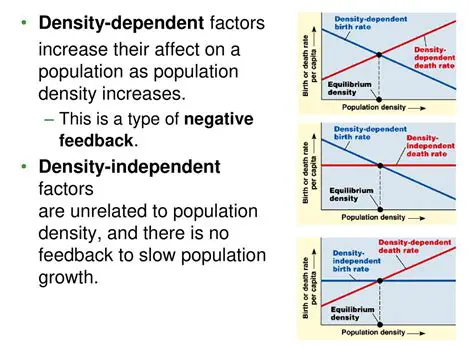Believing that population density dependence is only relevant to large populations