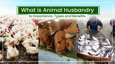 Benefits for the Animal Husbandry and Agriculture Sector