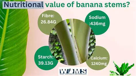 Benefits of Liquid Organic Fertilizer Banana Stems