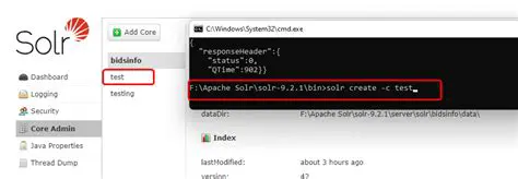 Benefits of Using BitNami Apache Solr Stack