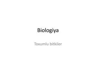Biologiya 3 CHSBni Javoblarini Topishga Yordam Beradigan Maqola