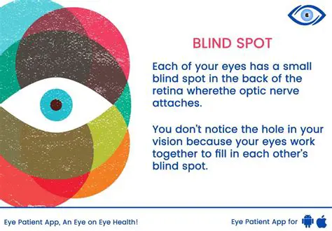 Blind Spot and Sudden Stops