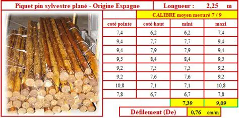 Calcul du Nombre de Piquets