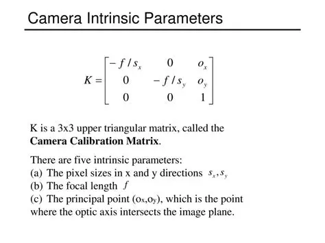 Camera Intrinsic Matrix in Stage I