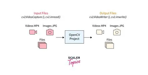 Captures images from Video for Windows compatible cameras