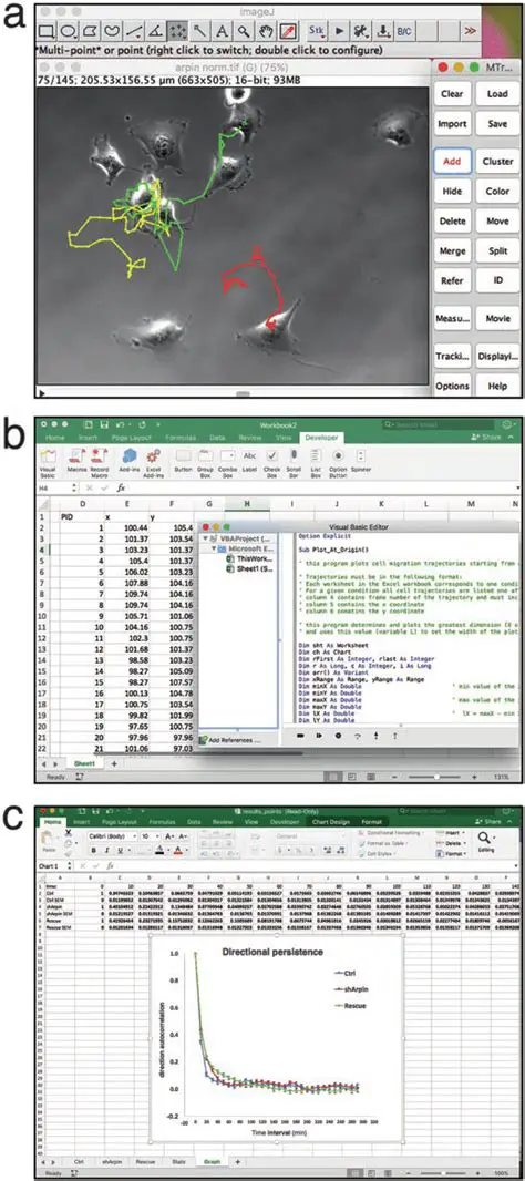 Cell Tracking and Analysis