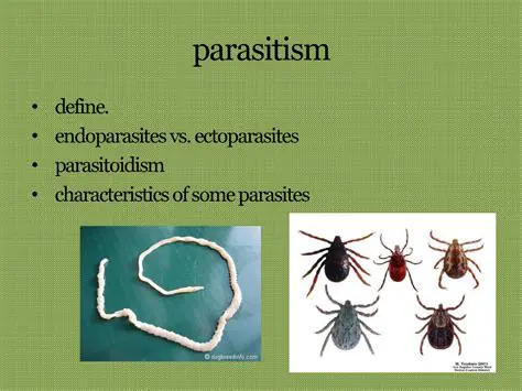 Characteristics of Parasitism
