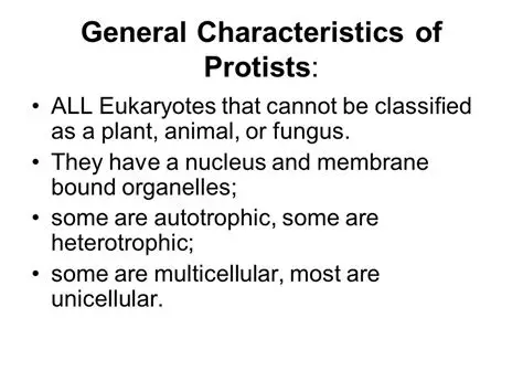 Characteristics of Protists