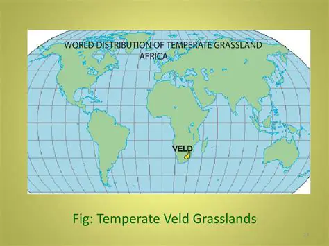 Characteristics of Temperate Veld