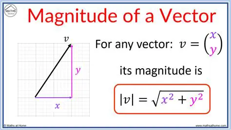 Characteristics of the Vector Value Space