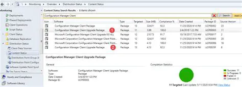 Check package manager configuration