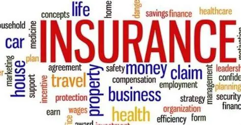 Choosing an Insurance Provider