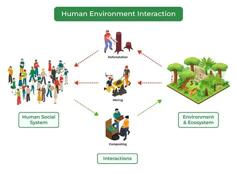 Collector Version and Environment Information