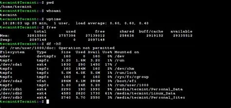 Command Line and Interactive Modes