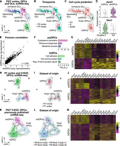 Comparing Cell B and Cell C