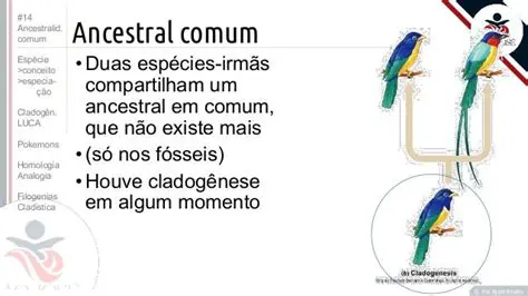 Compartilham de um ancestral comum