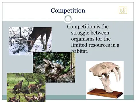 Competition for limited resources and living spaces