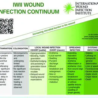 Continuation of IWII programs