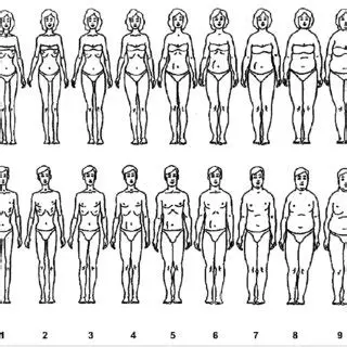 Contour Drawing Rating Scale