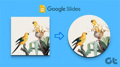 Crop rectangular image patches