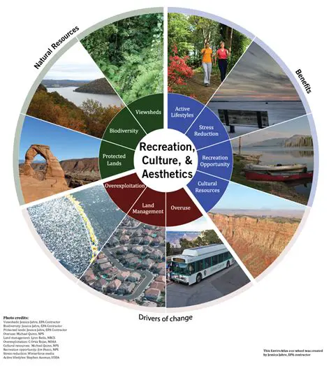 Cultural and Recreational Values
