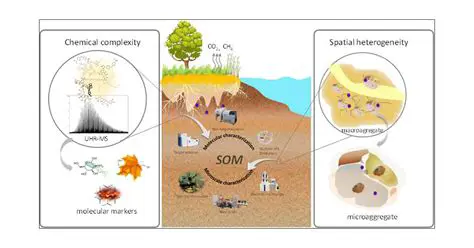 Current Sample Levels of Chemicals in the Soil