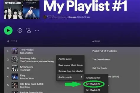 Customize Your Music Experience