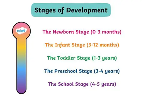 Development of the Stage Between