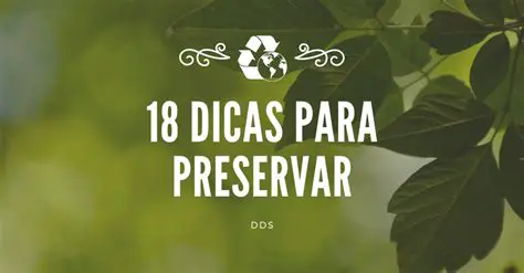 Dicas para os Emprestadores