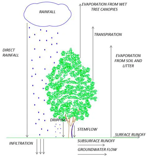 Differences in Rain Interception in Rubber Plantations of Various Ages