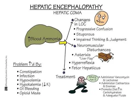 Early Signs of Hepatic Encephalopathy