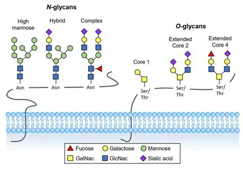 Effect on protein sequence