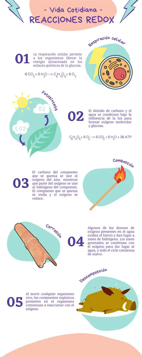 Ejemplos de la vida cotidiana