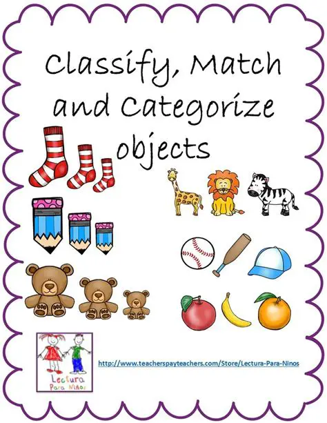 Enhanced ability to classify and categorize objects