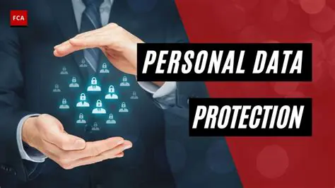 Establishing a Personal Data Protection Institution