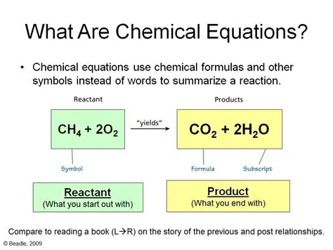 Examples of Correctly Balanced Equations
