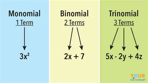 Examples of Monomials and Binomials