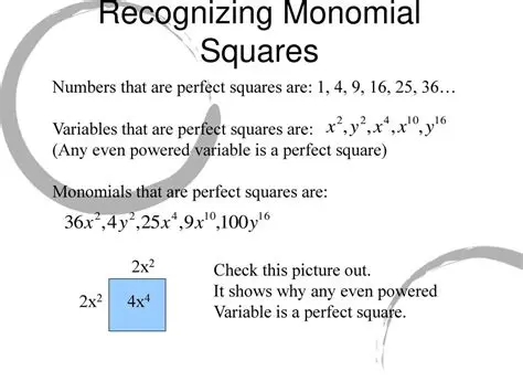 Examples of Perfect Square Monomials