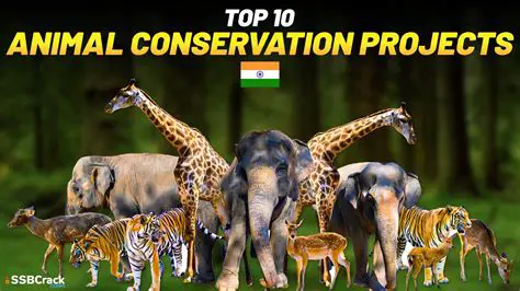 Examples of Successful Conservation Efforts