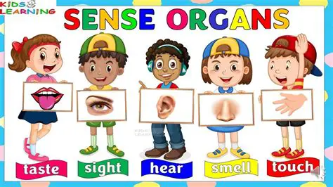 Examples of the Same Sense
