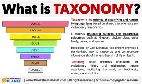 Explore and understand taxonomies