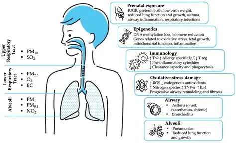 Factors Affecting SO2 Levels in Ambient Air