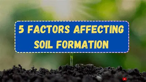Factors Affecting Soil Consistence
