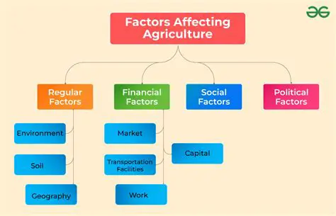 Factors Affecting the Income of Newspaper Traders