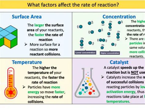 Factors Affecting the Rate Constant