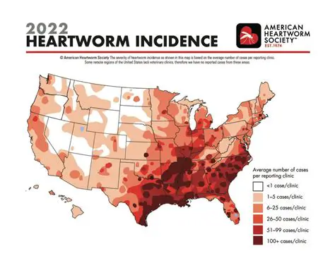 Factors Causing the Incidence of Worms